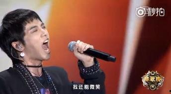 头条盛典华晨宇的歌曲,音乐盛宴点亮星光之夜