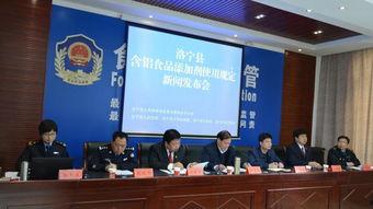 洛宁县海口新闻头条号,聚焦洛宁发展新动态，共话海口美好未来