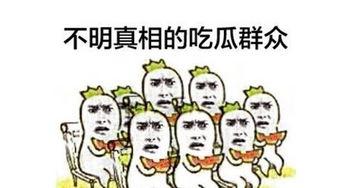 吃瓜群众要准备什么,如何准备一场精彩的“瓜”事