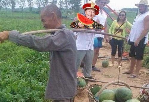 做官吃瓜,揭秘做官与吃瓜的微妙关系