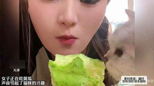 女生发在线吃瓜,揭秘女生在线吃瓜的欢乐时光