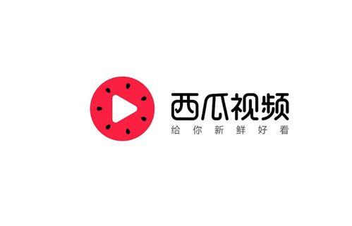 今日头条西瓜视频阿峰,揭秘短视频创作背后的故事