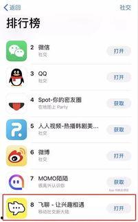 头条上的飞聊是谁,头条旗下社交新星的诞生之谜”