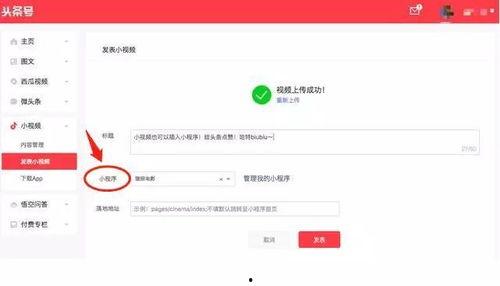 头条直播入口怎么打开的,揭秘直播入口打开方法
