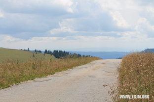梦见在地里找瓜吃,探寻地里瓜果的秘密之旅