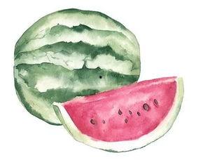 踏雪吃瓜,冬日里的温馨时光