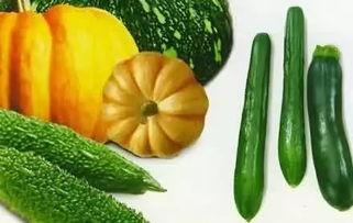 林清平的瓜在哪吃,品味林清平的“瓜在哪吃”智慧人生