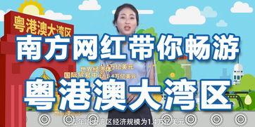 大湾网红,创新引擎下的网红经济新篇章