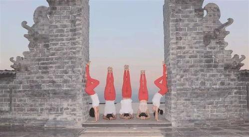 网红阿唐,网红之路的璀璨星光