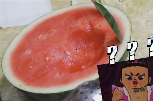 吃瓜专用工具,解锁夏日畅享新姿势