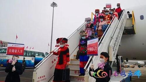 国家整治明星代言企业,国家整治明星代言企业，行业洗牌加速