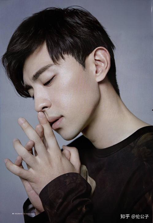 男明星美图,探寻男明星的绝世风采