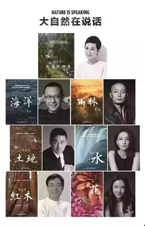 疫情中谁是明星英语,明星在疫情期间的担当与影响力