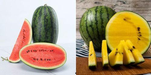 吃烂的瓜,揭秘那些吃烂的瓜背后的故事