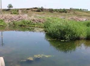 吃瓜掉河里,一场意外的“瓜”界奇遇