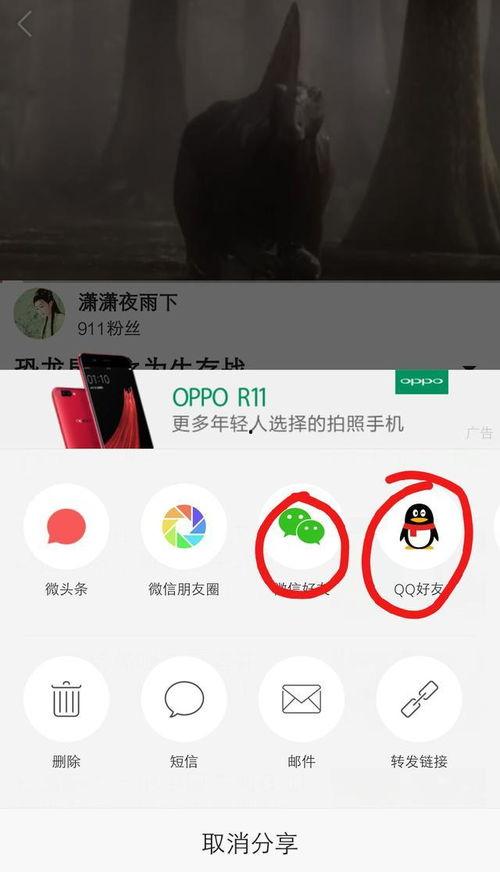怎么简单做头条视频,如何简单制作头条热门视频
