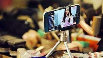 网红各自能力,从直播带货到内容创作，一网打尽！