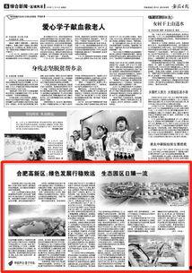 今日合肥新闻头条,聚焦城市新动态，共话发展新篇章