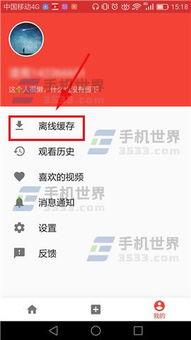头条怎么看删除的视频,头条删除视频背后的真相与原因