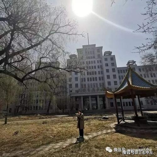 吃瓜群众岱岱天津