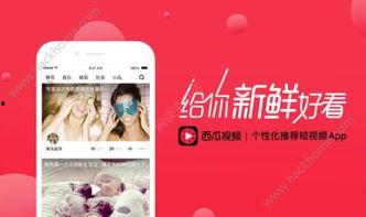 头条视频变成竖版,揭秘内容传播新趋势