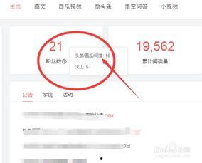 头条号怎么刷粉丝,高效刷粉技巧揭秘